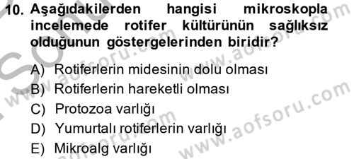 Balık Yetiştiriciliği Dersi 2014 - 2015 Yılı (Final) Dönem Sonu Sınav Soruları 10. Soru