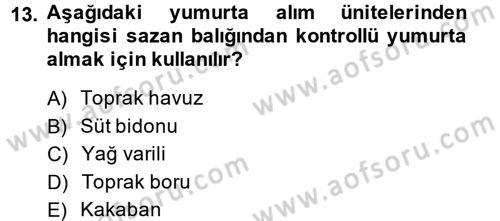 Balık Yetiştiriciliği Dersi 2014 - 2015 Yılı (Final) Dönem Sonu Sınav Soruları 13. Soru