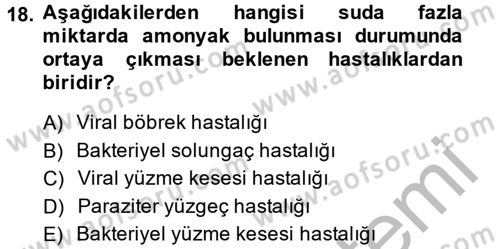 Balık Yetiştiriciliği Dersi 2014 - 2015 Yılı (Final) Dönem Sonu Sınav Soruları 18. Soru