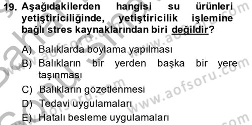 Balık Yetiştiriciliği Dersi 2014 - 2015 Yılı (Final) Dönem Sonu Sınav Soruları 19. Soru