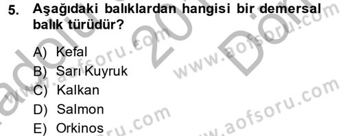 Balık Yetiştiriciliği Dersi 2014 - 2015 Yılı (Final) Dönem Sonu Sınav Soruları 5. Soru