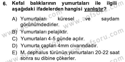 Balık Yetiştiriciliği Dersi 2014 - 2015 Yılı (Final) Dönem Sonu Sınav Soruları 6. Soru