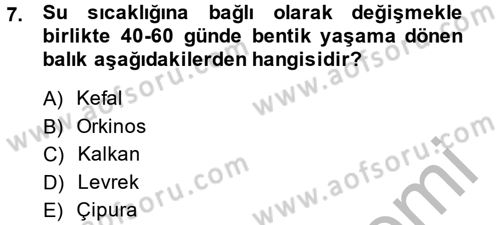 Balık Yetiştiriciliği Dersi 2014 - 2015 Yılı (Final) Dönem Sonu Sınav Soruları 7. Soru