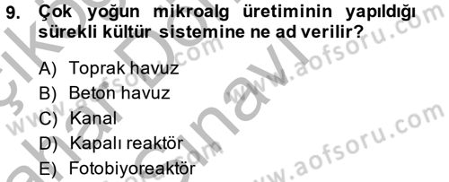 Balık Yetiştiriciliği Dersi 2014 - 2015 Yılı (Final) Dönem Sonu Sınav Soruları 9. Soru