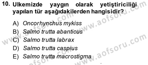 Balık Yetiştiriciliği Dersi 2014 - 2015 Yılı Tek Ders Sınav Soruları 10. Soru