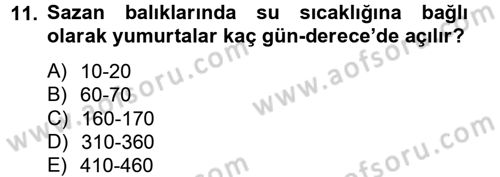 Balık Yetiştiriciliği Dersi 2014 - 2015 Yılı Tek Ders Sınav Soruları 11. Soru