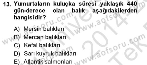 Balık Yetiştiriciliği Dersi 2014 - 2015 Yılı Tek Ders Sınav Soruları 13. Soru