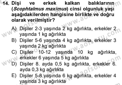 Balık Yetiştiriciliği Dersi 2014 - 2015 Yılı Tek Ders Sınav Soruları 14. Soru
