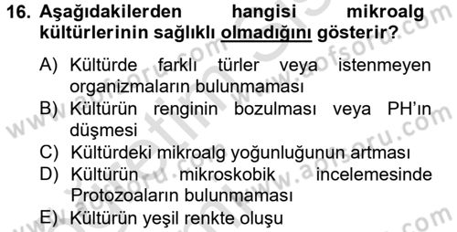 Balık Yetiştiriciliği Dersi 2014 - 2015 Yılı Tek Ders Sınav Soruları 16. Soru