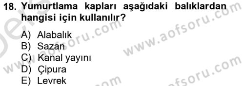 Balık Yetiştiriciliği Dersi 2014 - 2015 Yılı Tek Ders Sınav Soruları 18. Soru