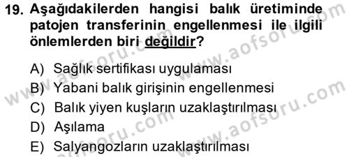 Balık Yetiştiriciliği Dersi 2014 - 2015 Yılı Tek Ders Sınav Soruları 19. Soru