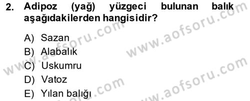 Balık Yetiştiriciliği Dersi 2014 - 2015 Yılı Tek Ders Sınav Soruları 2. Soru
