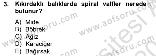 Balık Yetiştiriciliği Dersi 2014 - 2015 Yılı Tek Ders Sınav Soruları 3. Soru