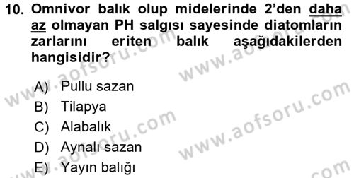 Balık Yetiştiriciliği Dersi 2015 - 2016 Yılı (Vize) Ara Sınav Soruları 10. Soru