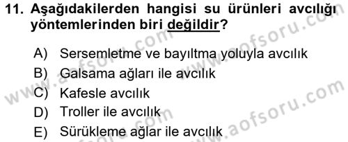 Balık Yetiştiriciliği Dersi 2015 - 2016 Yılı (Vize) Ara Sınav Soruları 11. Soru