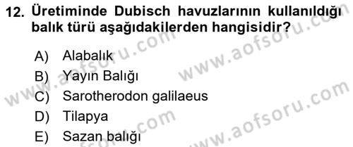 Balık Yetiştiriciliği Dersi 2015 - 2016 Yılı (Vize) Ara Sınav Soruları 12. Soru
