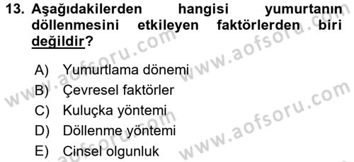 Balık Yetiştiriciliği Dersi 2015 - 2016 Yılı (Vize) Ara Sınav Soruları 13. Soru