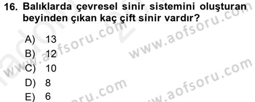Balık Yetiştiriciliği Dersi 2015 - 2016 Yılı (Vize) Ara Sınav Soruları 16. Soru