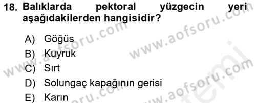 Balık Yetiştiriciliği Dersi 2015 - 2016 Yılı (Vize) Ara Sınav Soruları 18. Soru