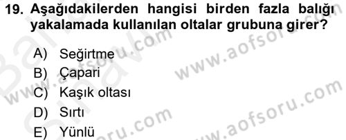 Balık Yetiştiriciliği Dersi 2015 - 2016 Yılı (Vize) Ara Sınav Soruları 19. Soru