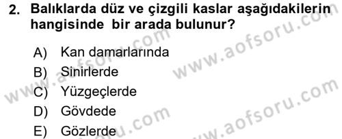 Balık Yetiştiriciliği Dersi 2015 - 2016 Yılı (Vize) Ara Sınav Soruları 2. Soru