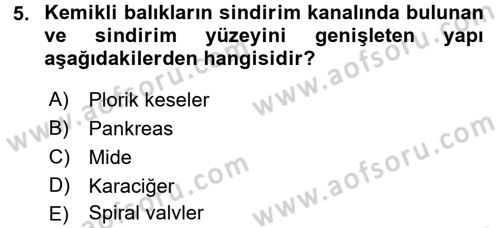 Balık Yetiştiriciliği Dersi 2015 - 2016 Yılı (Vize) Ara Sınav Soruları 5. Soru