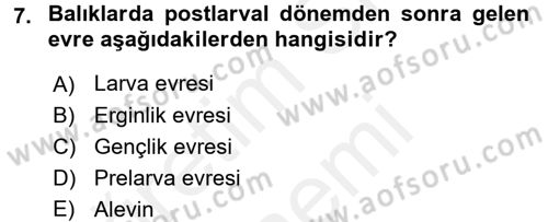 Balık Yetiştiriciliği Dersi 2015 - 2016 Yılı (Vize) Ara Sınav Soruları 7. Soru