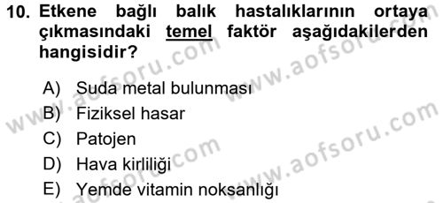 Balık Yetiştiriciliği Dersi 2015 - 2016 Yılı (Final) Dönem Sonu Sınav Soruları 10. Soru