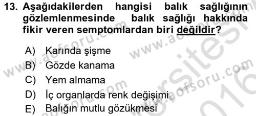 Balık Yetiştiriciliği Dersi 2015 - 2016 Yılı (Final) Dönem Sonu Sınav Soruları 13. Soru