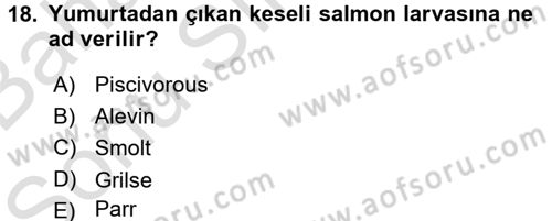 Balık Yetiştiriciliği Dersi 2015 - 2016 Yılı (Final) Dönem Sonu Sınav Soruları 18. Soru