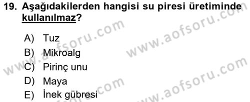Balık Yetiştiriciliği Dersi 2015 - 2016 Yılı (Final) Dönem Sonu Sınav Soruları 19. Soru