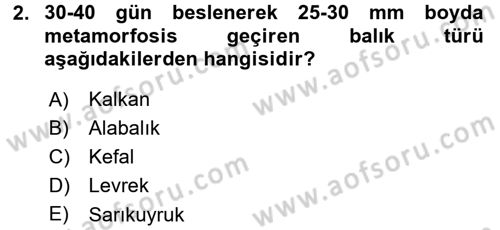 Balık Yetiştiriciliği Dersi 2015 - 2016 Yılı (Final) Dönem Sonu Sınav Soruları 2. Soru