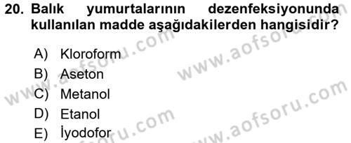 Balık Yetiştiriciliği Dersi 2015 - 2016 Yılı (Final) Dönem Sonu Sınav Soruları 20. Soru
