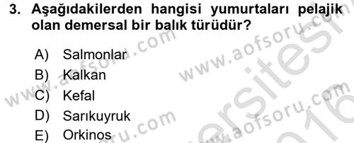 Balık Yetiştiriciliği Dersi 2015 - 2016 Yılı (Final) Dönem Sonu Sınav Soruları 3. Soru