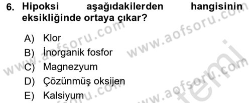 Balık Yetiştiriciliği Dersi 2015 - 2016 Yılı (Final) Dönem Sonu Sınav Soruları 6. Soru