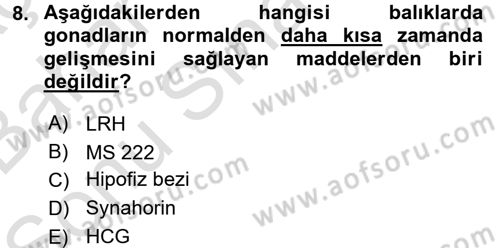 Balık Yetiştiriciliği Dersi 2015 - 2016 Yılı (Final) Dönem Sonu Sınav Soruları 8. Soru