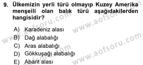 Balık Yetiştiriciliği Dersi 2015 - 2016 Yılı (Final) Dönem Sonu Sınav Soruları 9. Soru