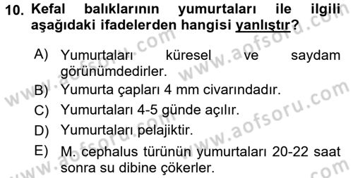Balık Yetiştiriciliği Dersi 2015 - 2016 Yılı Tek Ders Sınav Soruları 10. Soru