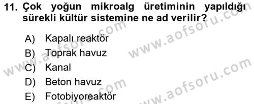 Balık Yetiştiriciliği Dersi 2015 - 2016 Yılı Tek Ders Sınav Soruları 11. Soru