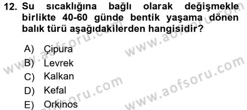 Balık Yetiştiriciliği Dersi 2015 - 2016 Yılı Tek Ders Sınav Soruları 12. Soru