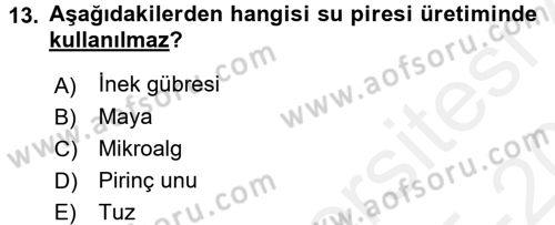 Balık Yetiştiriciliği Dersi 2015 - 2016 Yılı Tek Ders Sınav Soruları 13. Soru
