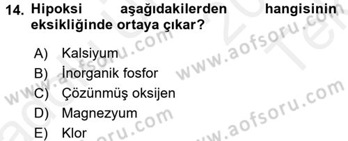 Balık Yetiştiriciliği Dersi 2015 - 2016 Yılı Tek Ders Sınav Soruları 14. Soru