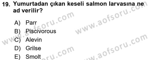 Balık Yetiştiriciliği Dersi 2015 - 2016 Yılı Tek Ders Sınav Soruları 19. Soru