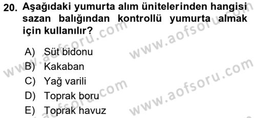 Balık Yetiştiriciliği Dersi 2015 - 2016 Yılı Tek Ders Sınav Soruları 20. Soru