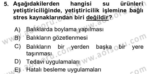 Balık Yetiştiriciliği Dersi 2015 - 2016 Yılı Tek Ders Sınav Soruları 5. Soru