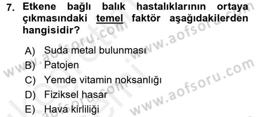 Balık Yetiştiriciliği Dersi 2015 - 2016 Yılı Tek Ders Sınav Soruları 7. Soru