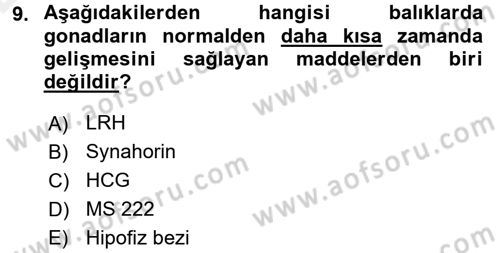Balık Yetiştiriciliği Dersi 2015 - 2016 Yılı Tek Ders Sınav Soruları 9. Soru