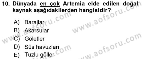 Balık Yetiştiriciliği Dersi 2016 - 2017 Yılı 3 Ders Sınav Soruları 10. Soru