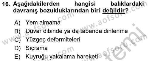 Balık Yetiştiriciliği Dersi 2016 - 2017 Yılı 3 Ders Sınav Soruları 16. Soru