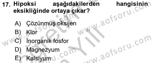 Balık Yetiştiriciliği Dersi 2016 - 2017 Yılı 3 Ders Sınav Soruları 17. Soru